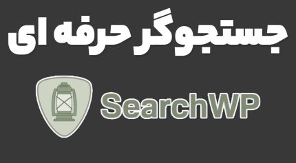 جستجوگر حرفه ای