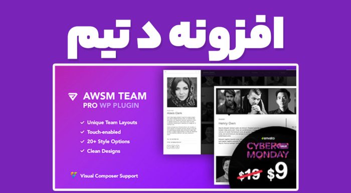 افزونه د تیم