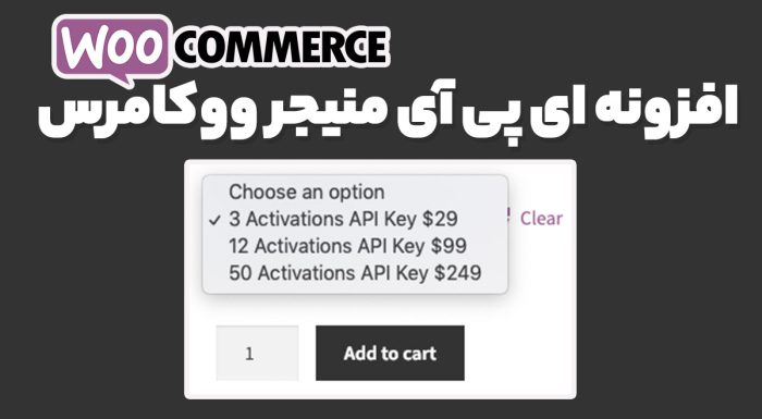 افزونه ای پی آی منیجر ووکامرس