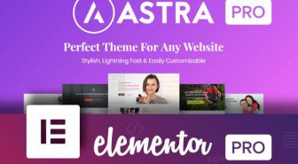 افزونه Astra Pro آسترا پرو