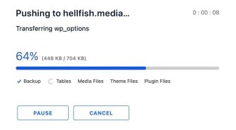 افزونه WP Migrate DB Pro جابجایی آسان سایت وردپرس میگریت پرو