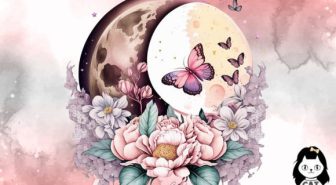 عکس های دوربری شده ماه پروانه و گل فانتزی