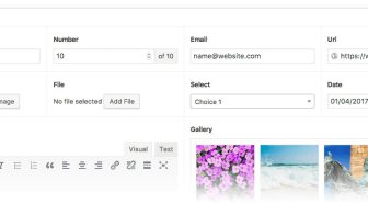 افزونه Advanced Custom Fields ACF Pro زمینه‌های سفارشی پیشرفته