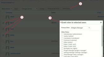 افزونه User Role Editor Pro مدیریت دسترسی کاربران وردپرس