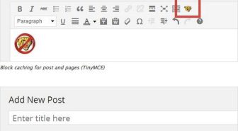 افزونه WP Fastest Cache Premium افزایش سرعت و کش حرفه ای وردپرس