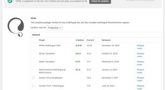 افزونه WPML Multilingual CMS (Sitepress) چند زبانه کردن سایت