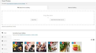 افزونه Envira Gallery Pro گالری حرفه ای تصاویر و ویدئو انویرا