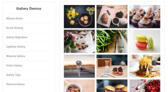 افزونه Envira Gallery Pro گالری حرفه ای تصاویر و ویدئو انویرا