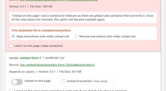 افزونه Asset CleanUp Pro افزایش سرعت و بهینه سازی کلین آپ پرو وردپرس