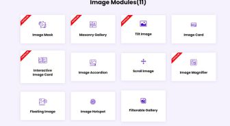 افزونه Divi Plus فعالسازی امکانات حرفه ای قالب دیوی پلاس