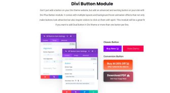 افزونه Divi Plus فعالسازی امکانات حرفه ای قالب دیوی پلاس