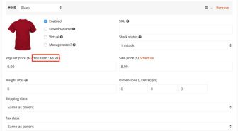 افزونه Dokan Pro چند فروشندگی دکان