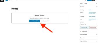 Beaver Builder Pro صفحه ساز بیور بیلدر
