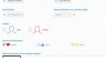 افزونه Gravity Forms Styles افزونه زیبا ساز و تغییر استایل گراویتی فرم