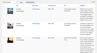 افزونه Admin Columns Pro ویرایش و مدیریت ستون های پیشخوان وردپرس