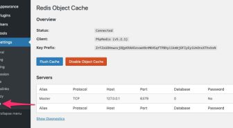 افزونه Redis Object Cache Pro کش و افزایش سرعت وردپرس