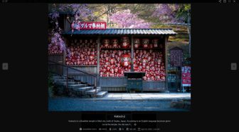 افزونه Meow Lightbox Pro لایت باکس تصاویر وردپرس