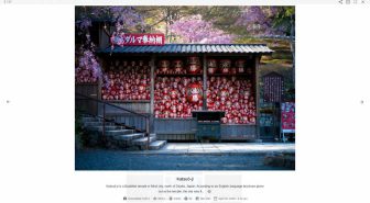 افزونه Meow Lightbox Pro لایت باکس تصاویر وردپرس