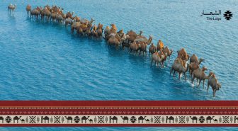 پترن با فونت شتر فارسی camel