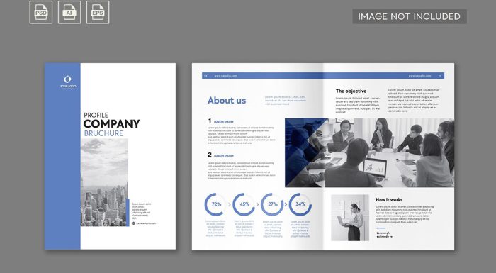 دانلود بروشور لایه باز شرکتی آبی Company Profile