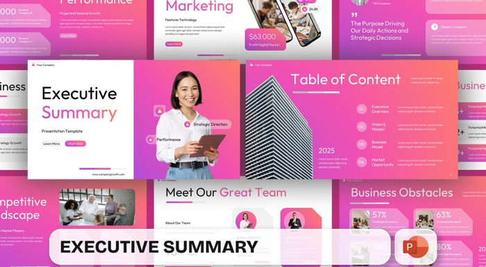 دانلود قالب پاورپوینت Executive Summary جذب سرمایه (رایگان)