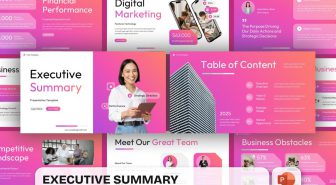 دانلود قالب پاورپوینت Executive Summary جذب سرمایه (رایگان)